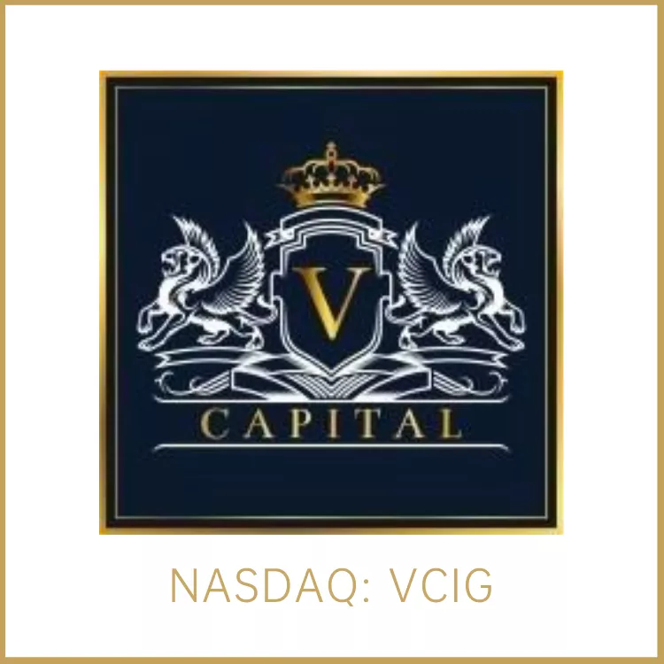 VCIG 为纳斯达克上市企业(NASDAQ VCIG)，它是一家總部位於馬來西亞的諮詢集團，在商業和技術領域擁有重要的諮詢業務。它的專業範疇包括公司財務、資本市場、法律和投資者關係等。